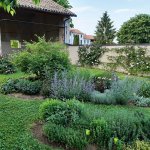 Il giardino condiviso di Pontestura - Foto Associazione Apea 